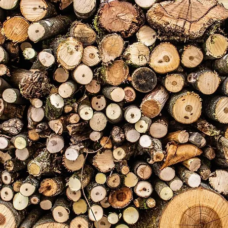 Fenix Hall Boutique מלון 2*