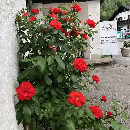 Hotel Fenix Hall Boutique