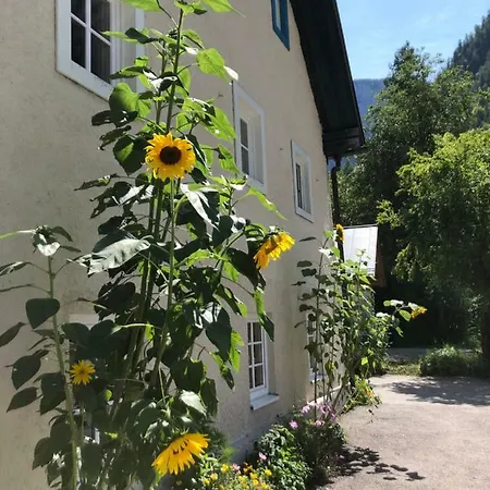 Hotel Fenix Hall Boutique Hallstatt