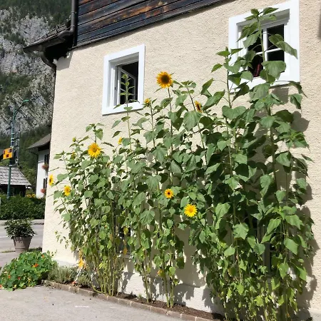 Hotel Fenix Hall Boutique