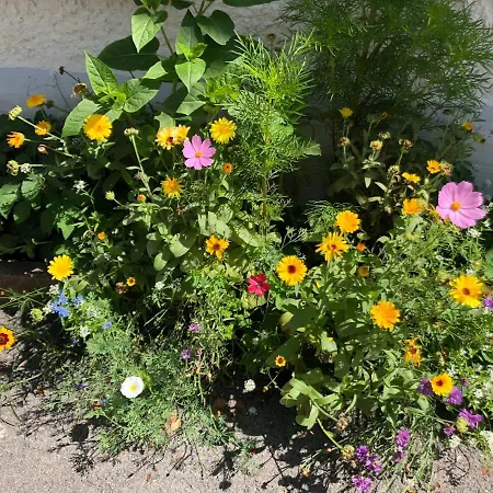 Fenix Hall Boutique Hallstatt