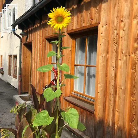 Fenix Hall Boutique Hallstatt