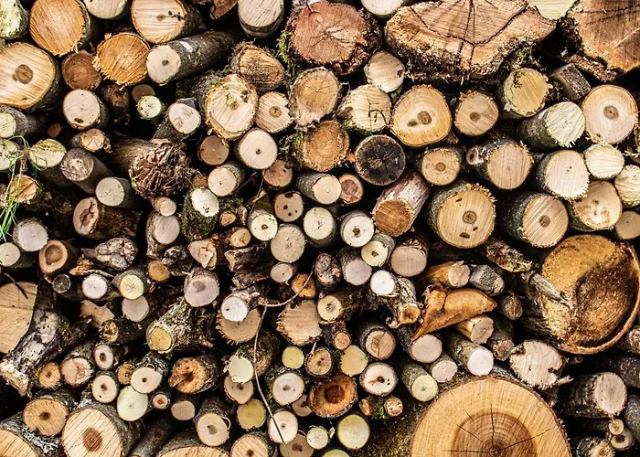 Fenix Hall Boutique Hotel 2*