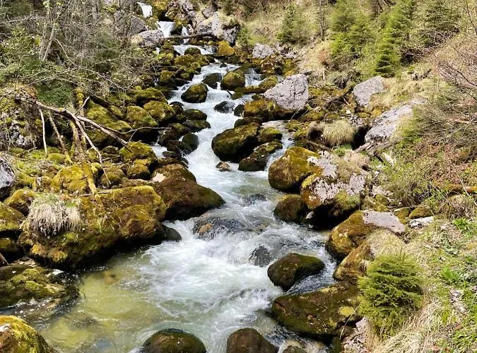 Fenix Hall Boutique 2*