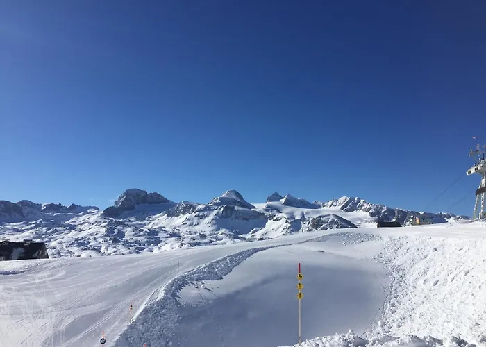 Fenix Hall Boutique Hotel