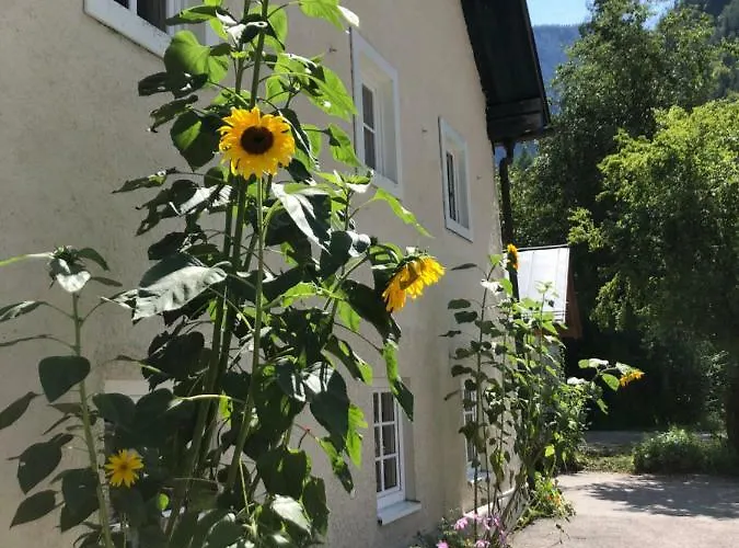 Hotel Fenix Hall Boutique Hallstatt