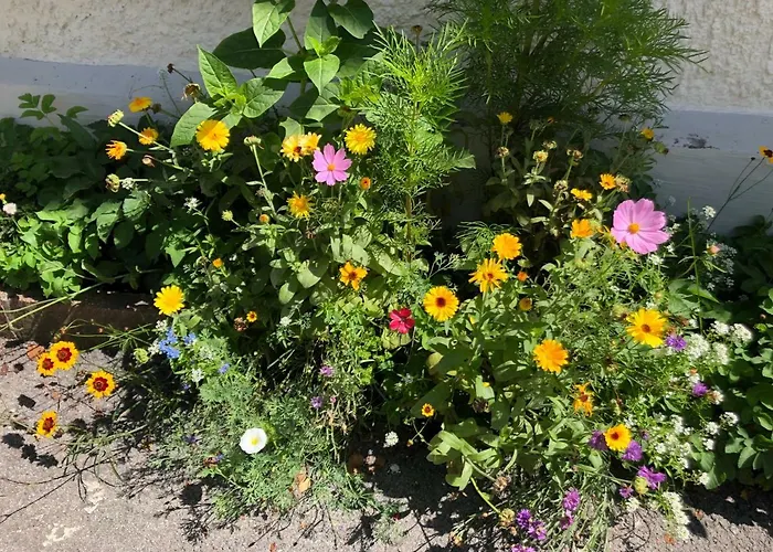 Fenix Hall Boutique Hallstatt