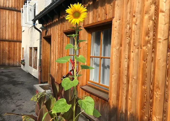 Fenix Hall Boutique Hallstatt