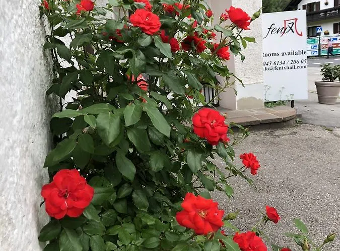 ホテル Fenix Hall Boutique