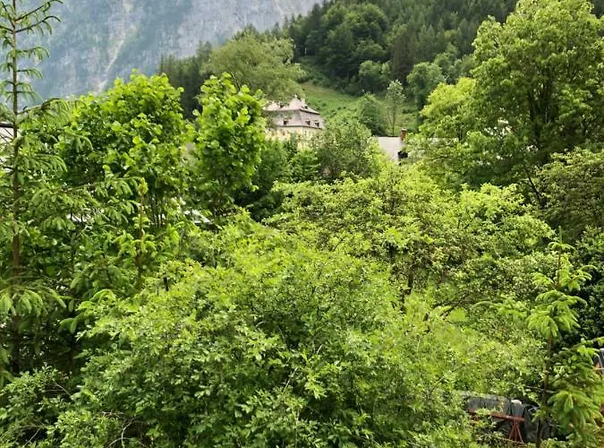 Отель Fenix Hall Boutique