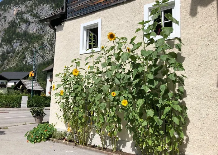 Отель Fenix Hall Boutique